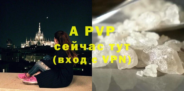 экстази Бородино
