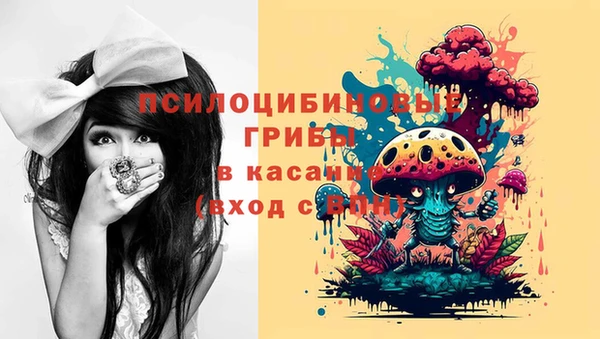 экстази Бородино
