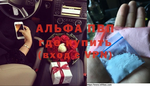 экстази Бородино