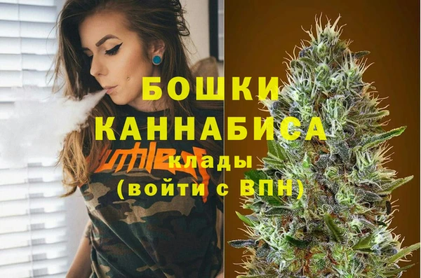 Альфа ПВП Бугульма
