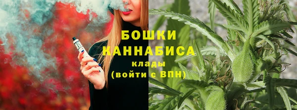 экстази Бородино
