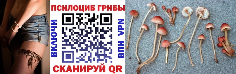 Псилоцибиновые грибы Psilocybe  shop состав  Подольск  МЕГА сайт 